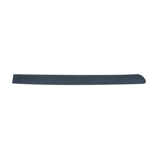 [WPI 2839755] Front Moulding Protector R